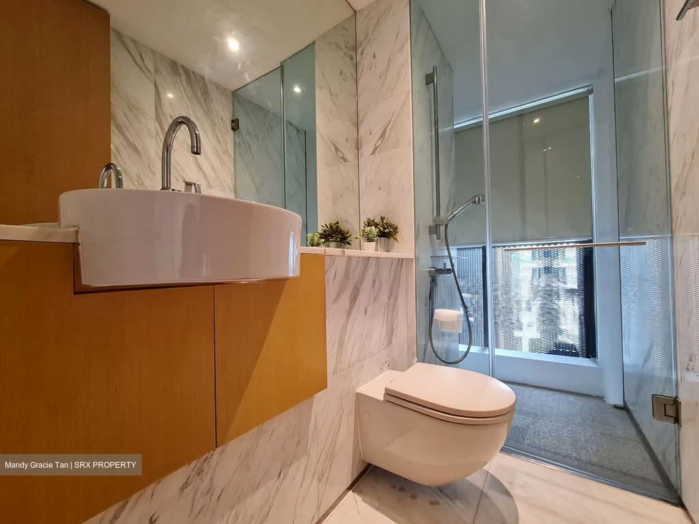 Newton Suites (D11), Apartment #533833811